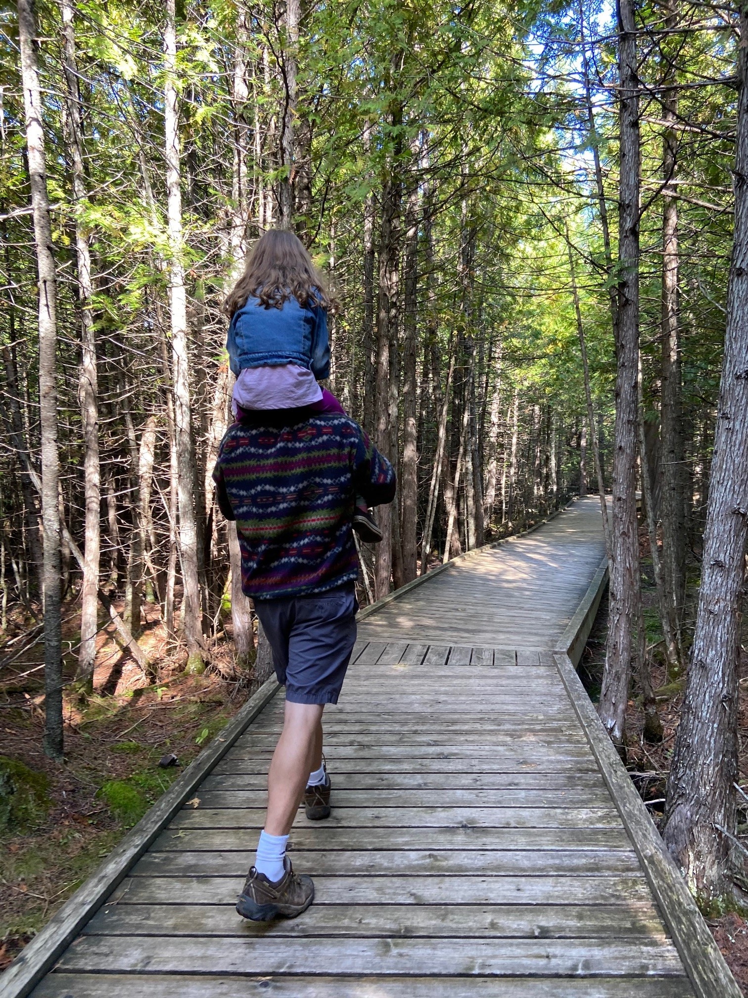 board walk